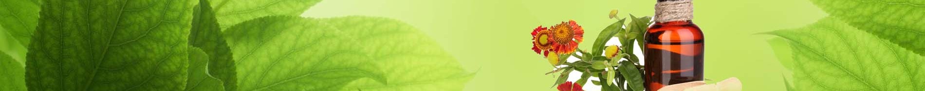 naturopathy with debbie leigh